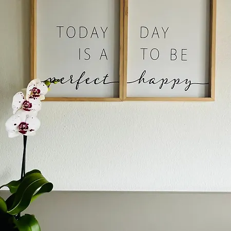 Panda Certosa Milano