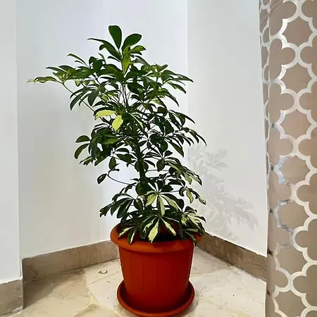 Apartament New And Elegant On The Navigli Netflix E