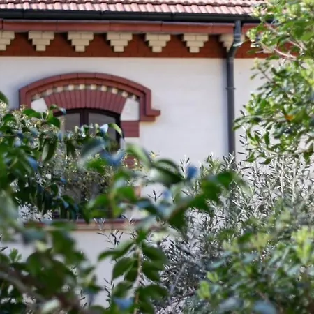 Apartment Green Quiet In The City Center *