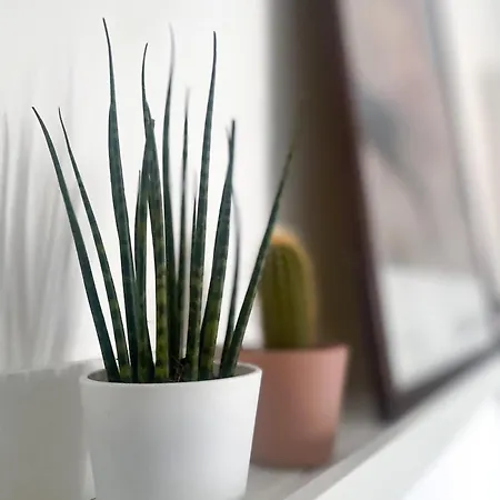 Lägenhet Xenia - Fashion Week Near Navigli