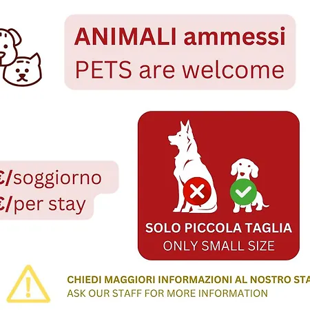 Caseospitali - Alice's House, Funzionale Trilocale Con Arredi Moderni *
