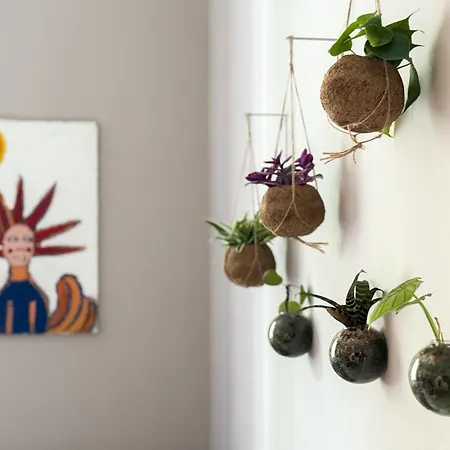 Апартаменты Vfh Corso Boutique Apartment-city Center