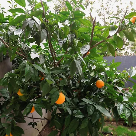 A Vicino Metropolina E Ospedale Niguarda *