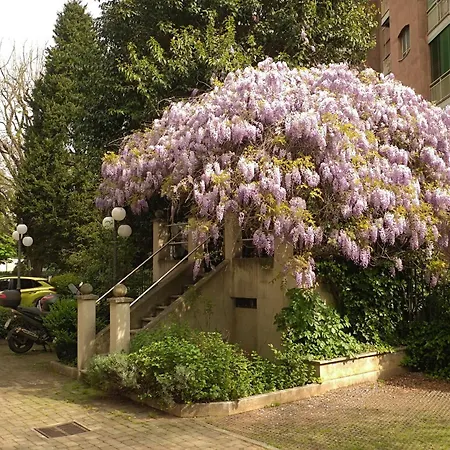 Best Way Rent - Beautiful On Naviglio Martesana Apartment *