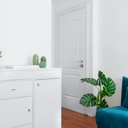 New! Lovely & Friendly In Center C Apartment