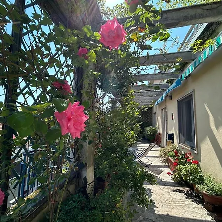Terrazza Con Vista *