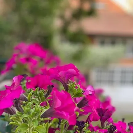 Grazioso Monolocale * Milano