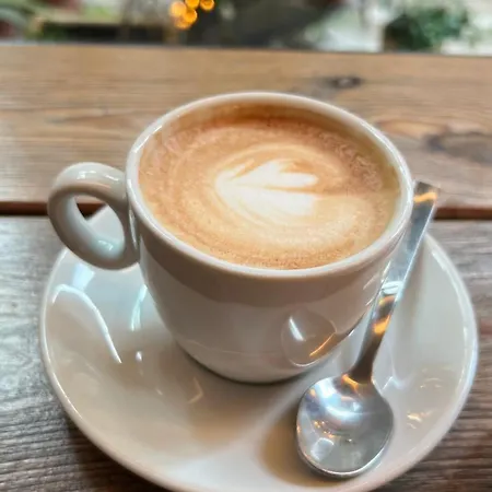 Rafael - 10 Min From Linate Airport, Fs, Ospedale San Raffaele Lägenhet Milano