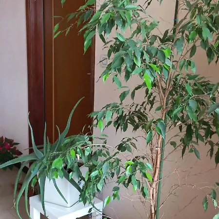 Appartement Casamia Tra Navigli E Universita - Free Parking Milan