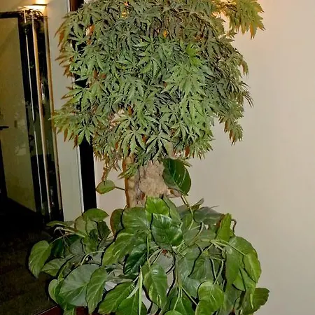 Duomo House Lejlighed Milano