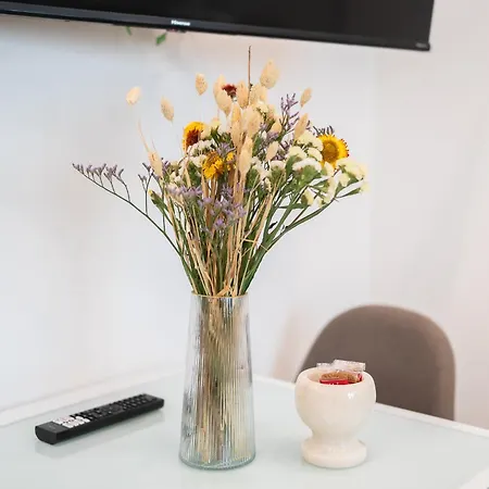 Duomo And Navigli - Cozy And Quiet With Park View Appartement Milaan