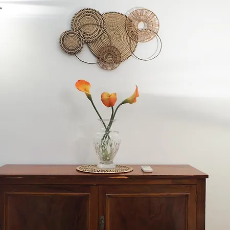 Primopiano - Palmaria B