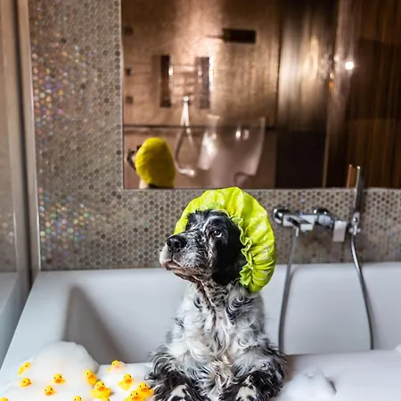 Milan Suite Hotel