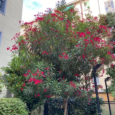 Apartment Residenza Zara *