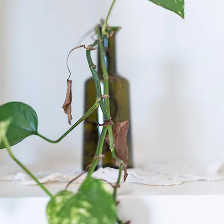 Luxury - Casoretto 36 * Milan