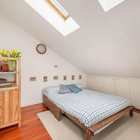 The Colorful Nest Apartment