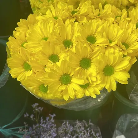 דירה Di Greta E Marco *