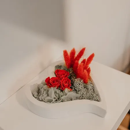 Solari New Apartamento *