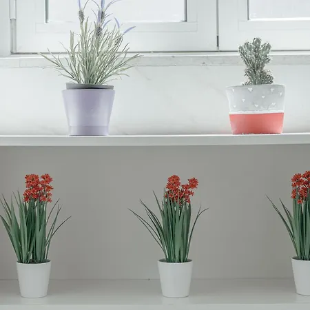 Solari Apartment شقة