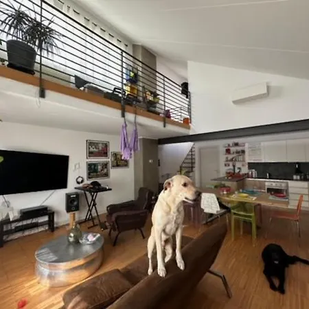 Pm 57 Via Giovanni Antonio Amadeo Apartment
