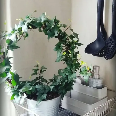 Charming Family Nest In Citta' Studi Apartment *