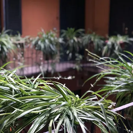 Brera Vip Spotlight - Brera - Duomo - Castello Sforzesco - Lanza Metro M2 ミラノ