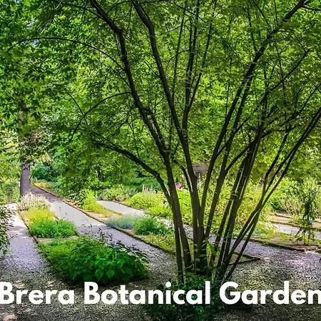 아파트 Brera Vip Spotlight - Brera - Duomo - Castello Sforzesco - Lanza Metro M2