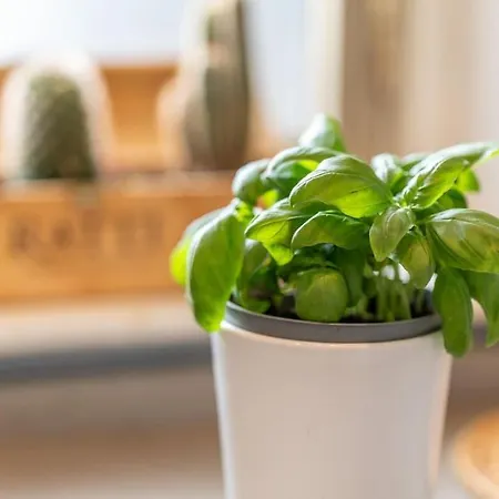 Apartment Luxury In Navigli