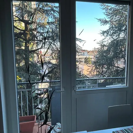 Your Place In Apartment