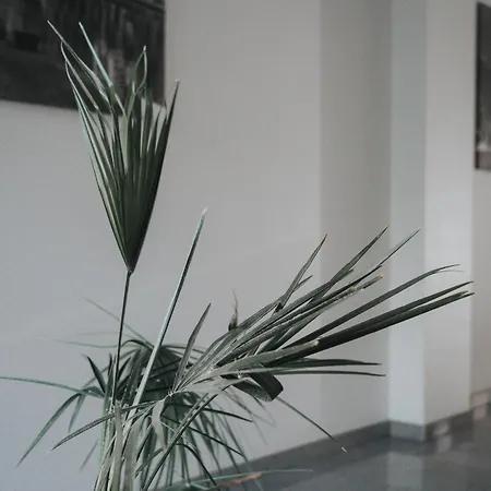 Tolstoi Apartment Milan