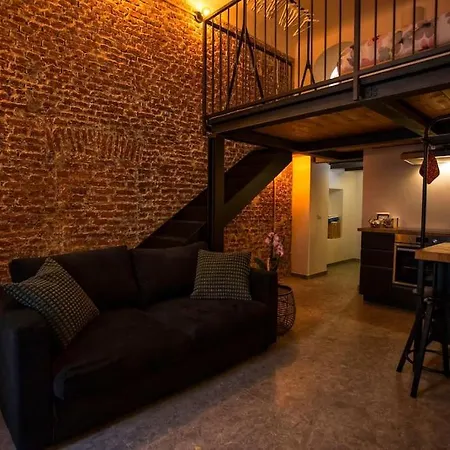 Apartamento Loft In Centro A Con Accesso Privato *