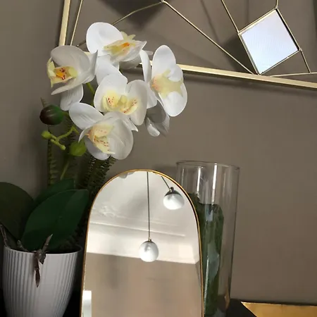 Alojamento de Acomodação e Pequeno-almoço Lippi 42 With Private Garden