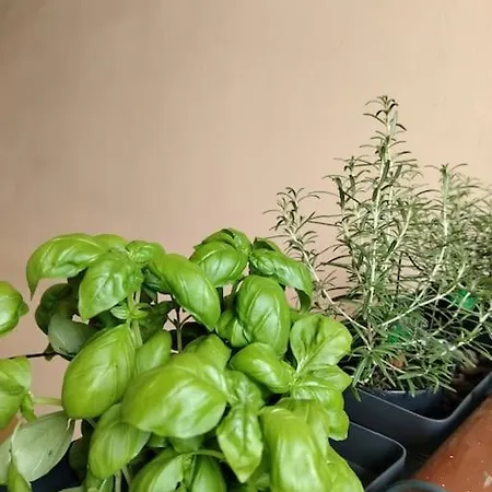 Apartmán Citylifers