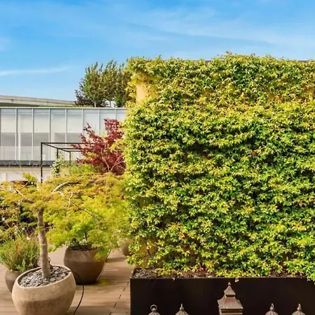 Penthouse With Rooftop