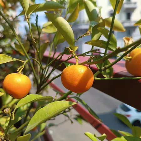 Apartment Lillo's Milan