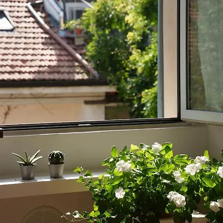 Savona 17 - Design *