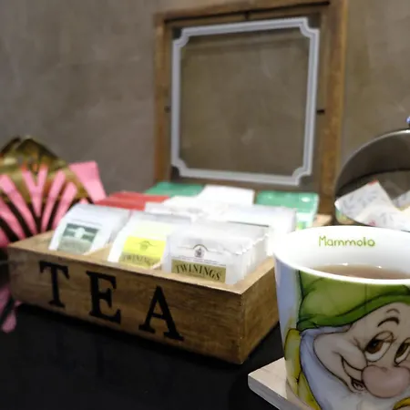 Marcona 88 - Design *