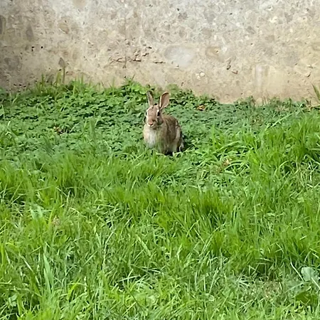 Magie Tortona District-navigli