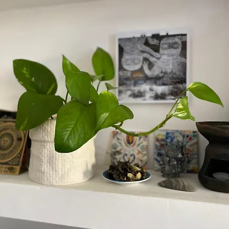 アパート Bilocale - Zona Isola ミラノ