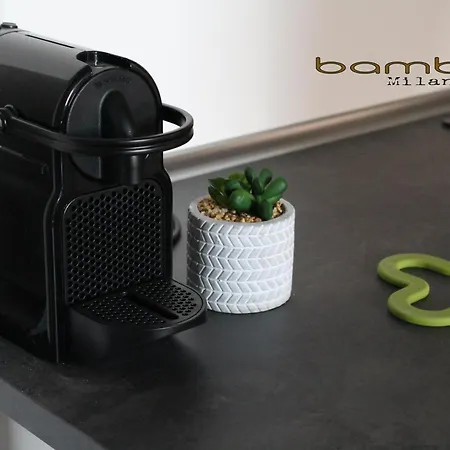 Bamboo Isonzo Milano