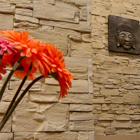 Meraviglioso Deluxe, Design Zen 2 2 Bagni Privati - Potente Wi-fi Ottimo Il Collegamento Con Aeroporto Di Malpensa E Rho Fiera, Vicino A 3 Linee Metropolitane