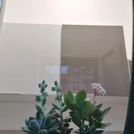 Un Nido Nel Cuore Di - De Angeli *