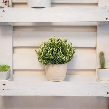 Haven - Free Parking