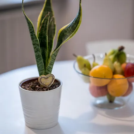 Bilocale 1br Affori - 15min Duomo * Milano