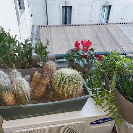 Confortable Flat Near Pz Firenze Apartamento *