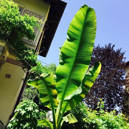 شقة Bilocale Chic In Tropical A Due Passi Da Stazione *