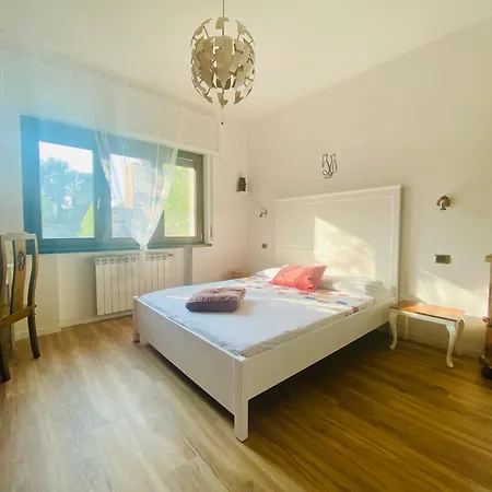 The Luxory Cat Bed & Breakfast *