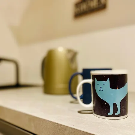 فندق مبيت وإفطار The Luxory Cat 3*