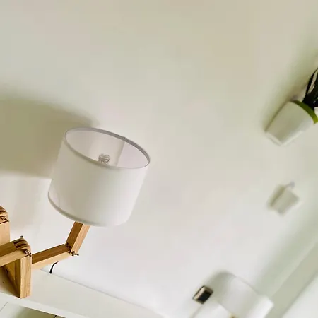 The Luxory Cat Bed & Breakfast