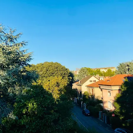 The Luxory Cat Bed & Breakfast Milano
